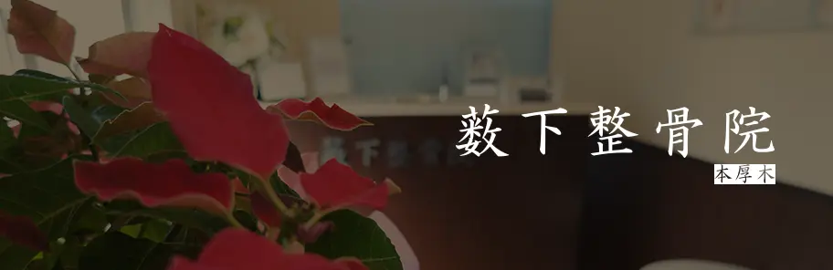 薮下整骨院 本厚木