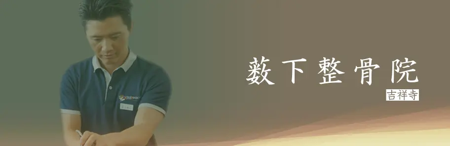 薮下整骨院 吉祥寺