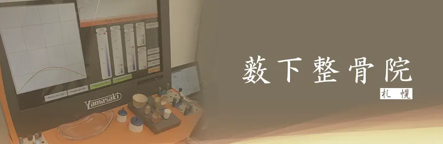 薮下整骨院 札幌円山